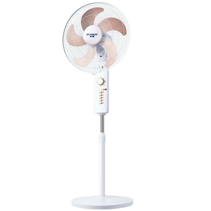 Home Standing Fan with Oscillation, Five Blades, Gift Electric Fan, Quiet Operation（Model：FS-1825）